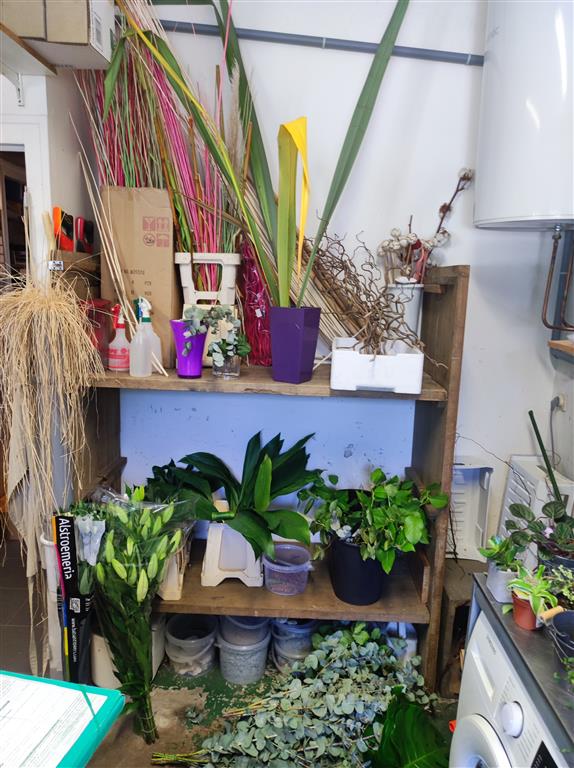 Agrandir la photo Fleurs à vendre - 60.0 m2 - 44 - Loire-Atlantique