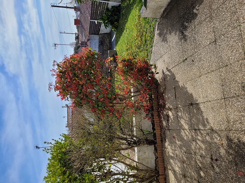Agrandir la photo Bar à vendre - 500.0 m2 - 44 - Loire-Atlantique